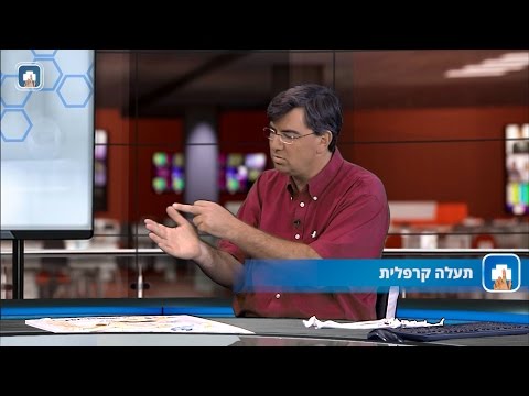 וִידֵאוֹ: האם התעלה הקרפלית יכולה לחזור לאחר הניתוח?