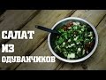 Салат из ОДУВАНЧИКА / Dandelion salad