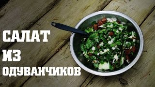 Салат из ОДУВАНЧИКА / Dandelion salad