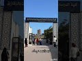 هو أزهرنا هو جامعنا