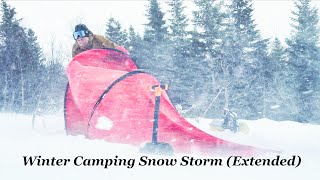 Winter Camping in Snow Storm - Blizzard Wilderness Backpacking the North with Cold Tent (Extended)