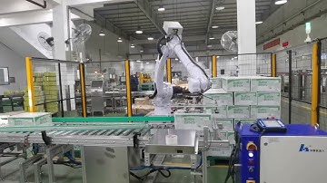 Baby bites boxes palletizing robot cartoning machine