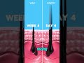 Shaving vs. Waxing: Discover the key differences and find out which hair removal method is best