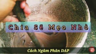 Cách Bón Phân Dap Chia Sẽ Cách Ngâm Huỳnh Thuỷ Tinh Vlog