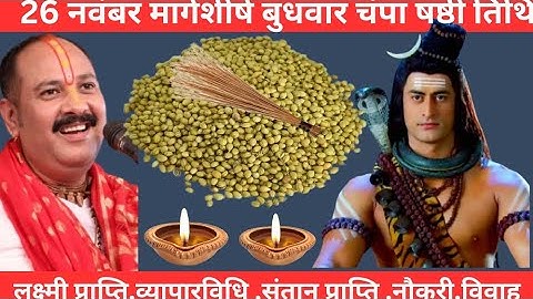 🕉️ 26 नवंबर मार्गशीर्ष बुधवार चंपा षष्ठी तिथि के दिन 7 हरे मूंग वाला उपाय जरुर करे Pradeep Mishra ji