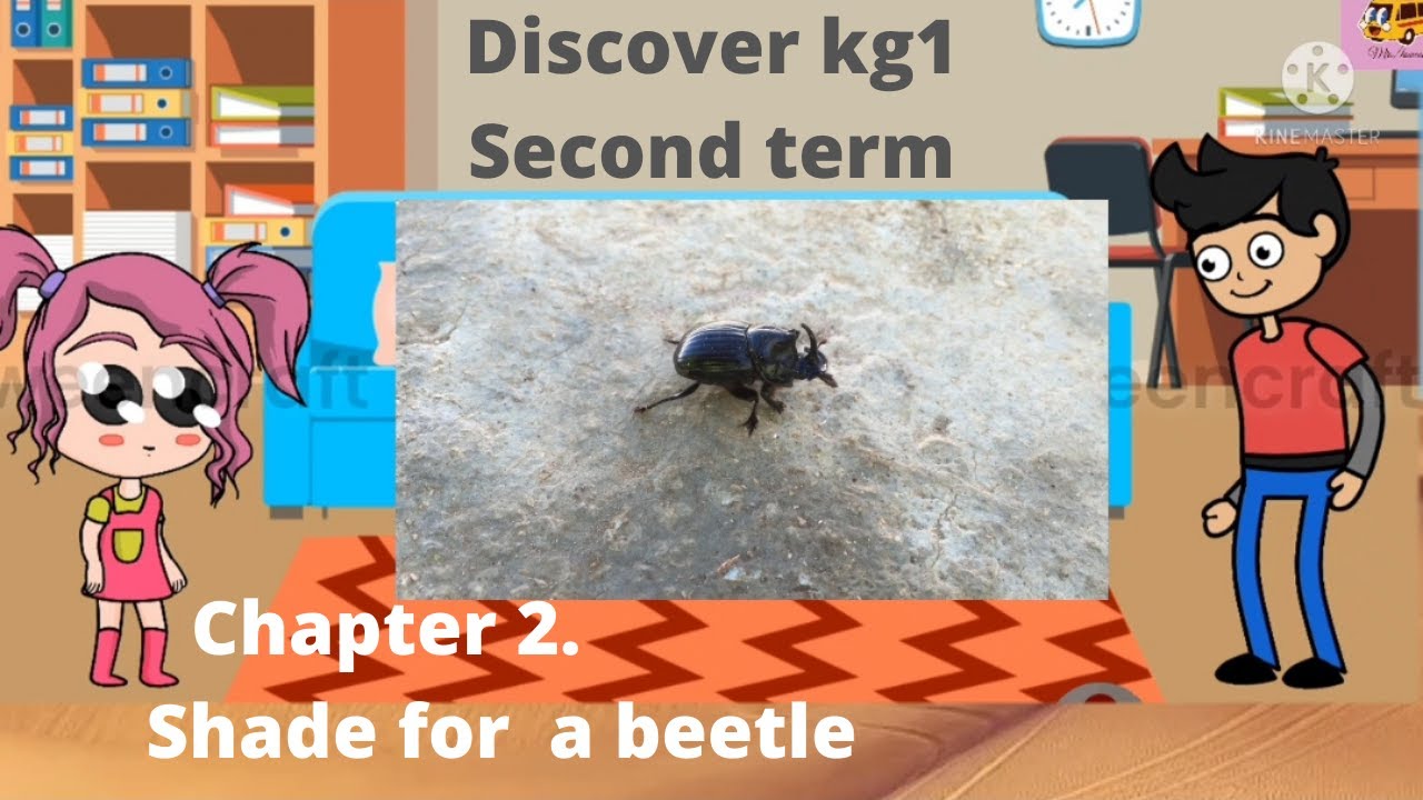 Discover Kg1 Second Term Chapter 2 Shade Of ABeetle YouTube