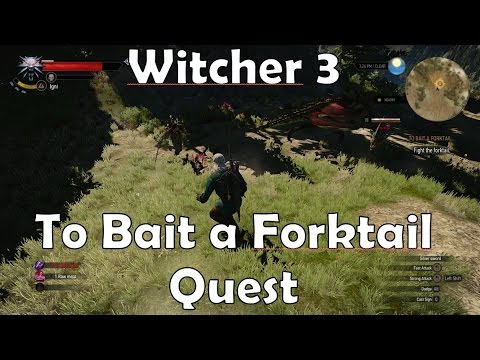 Witcher 3 - To Bait a Forktail Quest - YouTube