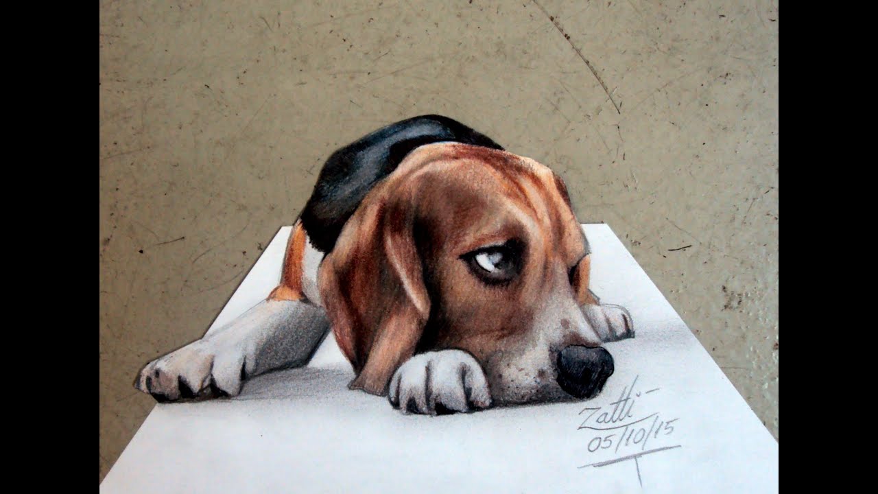 Get Como Fazer Focinheira Para Cachorro Com Corda PNG