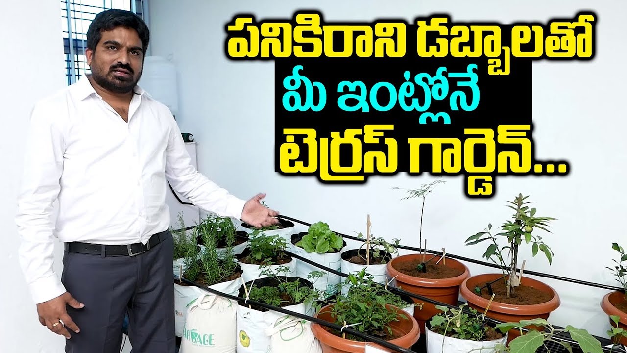 Tips to Grow Vegetables & Plants in Plastic Bottles at Home | Terrace