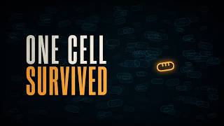 Bacteria Have a Second Inheritance System
