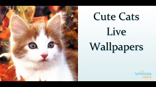 Cute Cats Live Wallpaper screenshot 2