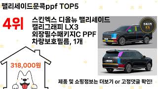 팰리세이드문콕ppf 돈 아깝지 않은 가성비 추천 상품 Top5