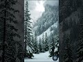 Christmas lights glow softly through the snowy forest ❄️🌲✨