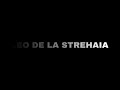 LEO DE LA STREHAIA (Official Trailer) In Cinemas October 4.