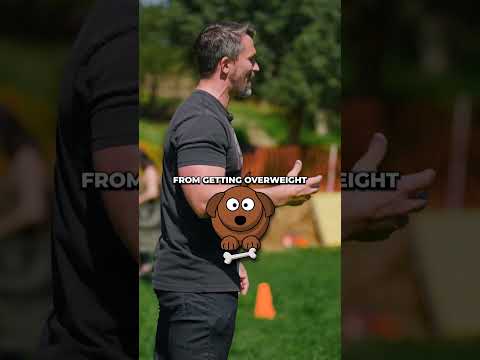 Video: Hondenbadgames