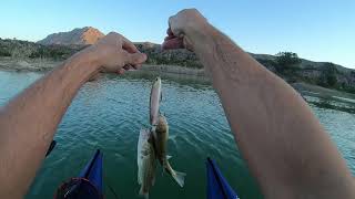 PESCANDO BLACK BASS EN MURCIA, ENTRE TANTA RASPA SALIÓ LA EXCEPCIÓN!