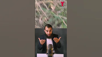 حلم الفأر تفسير حلم الفأر معني الفأر في المنام 