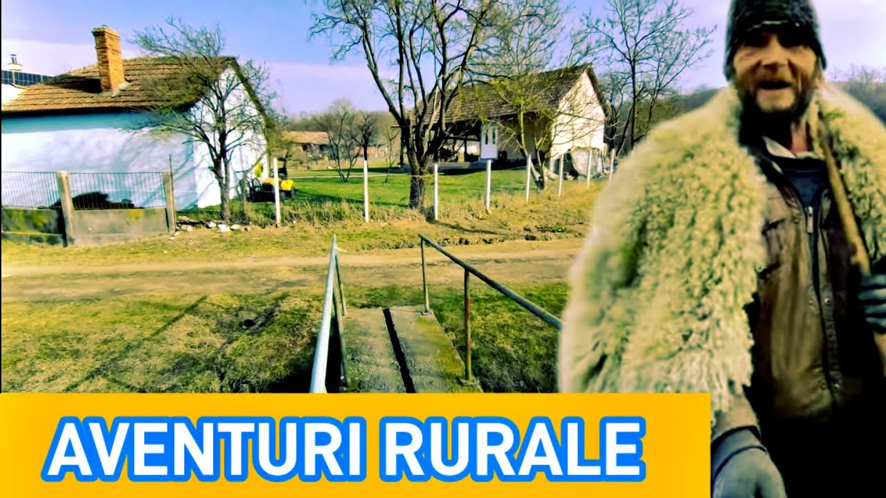 Pe ulițele satului Dumitra. Ce preț are o casă aici?