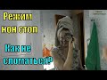 Режим нон стоп. Как не сломаться?/ Семья Фетистовых