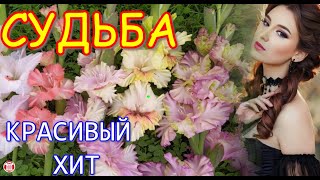 Красивый ХИТ! Обалденная Песня! Слушайте всю. Евгений Путилов - Судьба & TECHNO MUSIC SPACE (TMS)