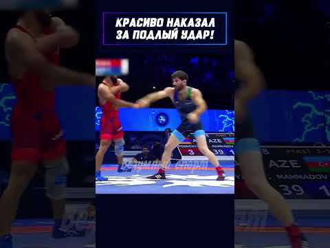 Борьба превратилась в драку. Армения против Азербайджана. #shorts