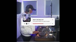 THE GODFATHERS OF DEEP HOUSE SA  -  DEEP ORCHBLAST