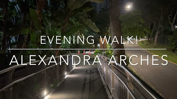 Alexandra Arch Forest Walk Henderson Waves Unique ...
