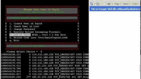 Squid Authentication