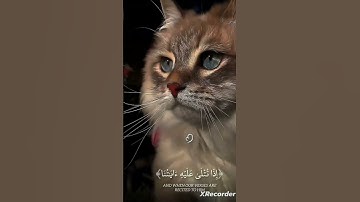 لاتهرب من القرآن الكريم