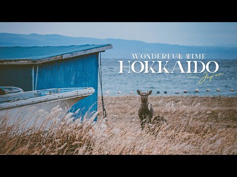 Hokkaido : ขับรถบ้านเที่ยวญี่ปุ่น "ฮอกไกโด" ไปส่องสัตว์ แช่ออนเซ็นฟรีกับฝูงหงส์กัน!