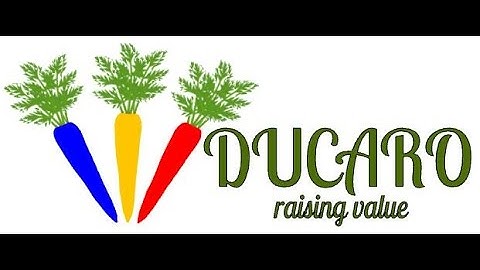 Carrots Duc Chinh from Vietnam- Cà rốt Đức Chính