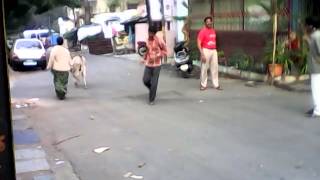 VID 20141127 064916@Dr.birju shyam