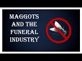 Dealing With Maggots In The Funeral Industry | Little Miss Funeral