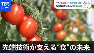 “ゲノム編集”“試験管から魚” 先端技術が支える“食”の未来【ＳＤＧｓ】