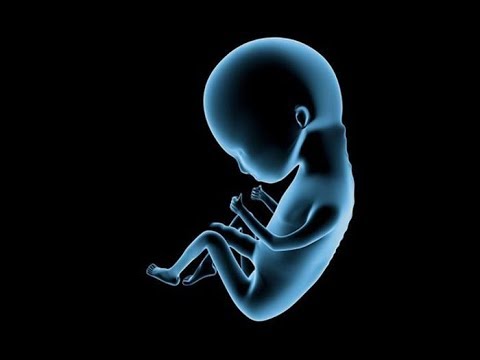 تلاوة قمة الروعة لسورة الإنسان تقشعر لها الأبدان بصوت الشيخ عبد الله موسى فيديو معبر