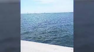 وليد توفيق يابحر    - اسمعها