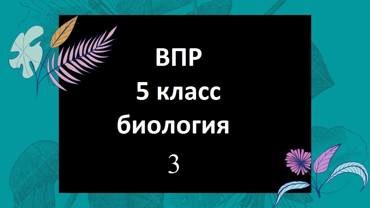 Впр по биологии 5 класс 2019. ВПР 4 класс. Демо версия ВПР по биологии 5 класс 2023. ВПР 5 класс биология с ответами задание1.1 1539. ВПР по биологии 6 класс Исаева ответы.