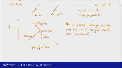 IB Physics (2016) - 7.3 The structure of matter Part 9 - Feynman diagrams