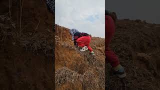 "Little Explorer! My Son Treks Solo in Modhupur Forest"