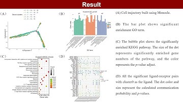 iMeta | ScRNAPip: A systematic and dynamic pipeline for single-cell RNA sequencing analysis
