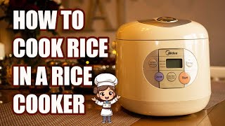 Rice Cooker Delight: Fluffy Rice, Every Bite