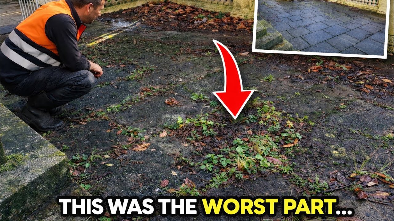 Мне сказали не прикасаться к этому зданию… Поэтому я его убрал. EP2