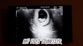 MY FIRST TRIMESTER  VLOG | PAIGE