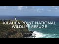 Kilauea point national wildlife refuge