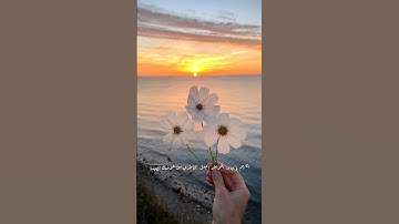 ألا بذكر الله تطمئن القلوب ❤️ بصوت القارئ إسلام صبحي (حالات واتساب)
