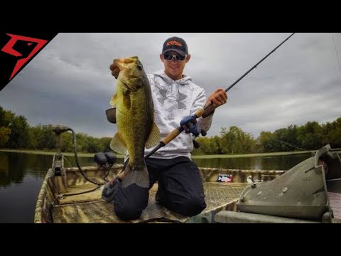 Piscifun Alloy M Baitcasting reel review! (Best budget reel money