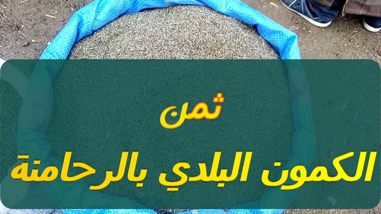 ثمن الكمون البلدي بالرحامنة التصوير بتاريخ 5/1/2021