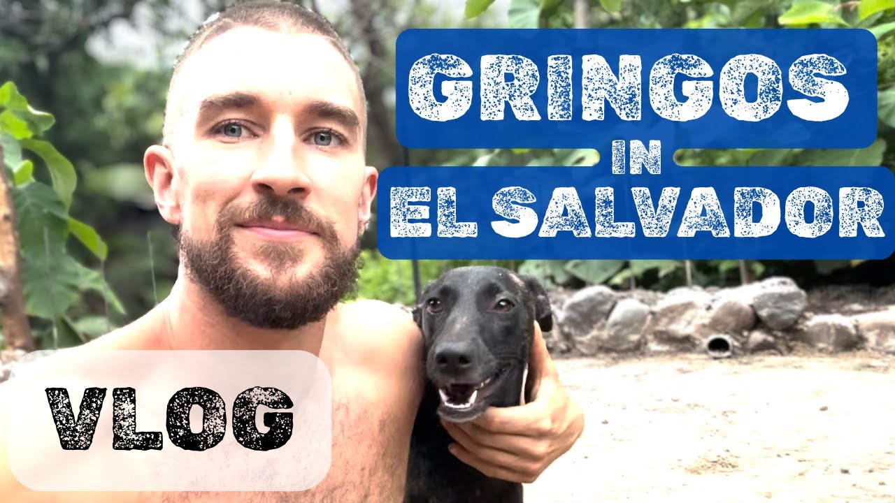 Ночная жизнь Сальвадора, строительство хостела Pupusas & Jungle