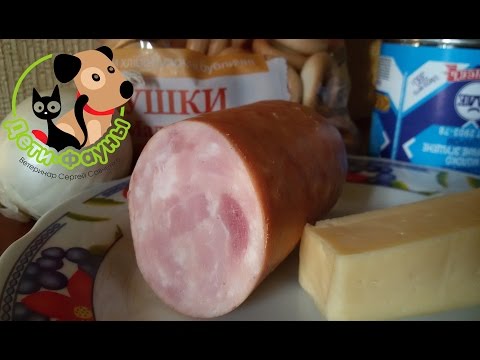 Чем нельзя кормить собаку/кошку? Опасные и вредные продукты для домашних животных