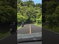 JALAN YANG VIRAL LURUS BERKELOK NARINGGUL CIANJUR SELATAN